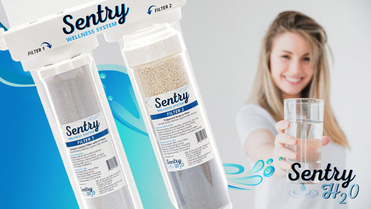5 Reasons the Sentry Wellness System is the Best Water Filter for Arizona Homes in 2025