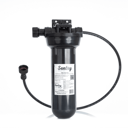 Scale control water filter