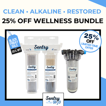 BLACK FRIDAY HOLIDAY HOME BUNDLE